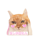 ももちゃんの日常1（個別スタンプ：6）