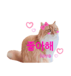 ももちゃんの日常1（個別スタンプ：18）