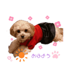 こはくのこはっとすたんぷ2（個別スタンプ：2）