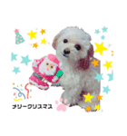 こはくのこはっとすたんぷ2（個別スタンプ：6）