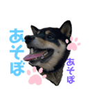 azuki298（個別スタンプ：6）