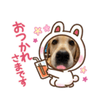Hamu☆Stamp（個別スタンプ：7）