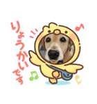 Hamu☆Stamp（個別スタンプ：8）