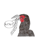 ミナミジサイチョウ（個別スタンプ：1）