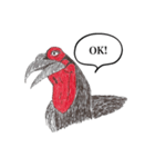 ミナミジサイチョウ（個別スタンプ：2）