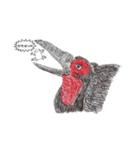 ミナミジサイチョウ（個別スタンプ：3）