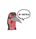 ミナミジサイチョウ（個別スタンプ：5）