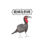 ミナミジサイチョウ（個別スタンプ：6）