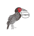 ミナミジサイチョウ（個別スタンプ：7）