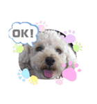 むくさん1。（個別スタンプ：3）