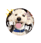 むくさん1。（個別スタンプ：7）