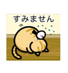 キャラメルという名の猫（個別スタンプ：17）