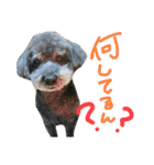 みなみのえる君（個別スタンプ：1）