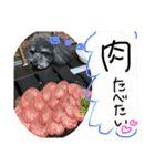みなみのえる君（個別スタンプ：3）
