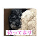 みなみのえる君（個別スタンプ：4）
