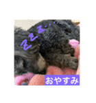 みなみのえる君（個別スタンプ：6）