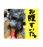 みなみのえる君（個別スタンプ：8）