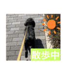 みなみのえる君（個別スタンプ：9）