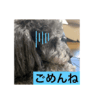 みなみのえる君（個別スタンプ：14）