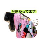 みなみのえる君（個別スタンプ：16）
