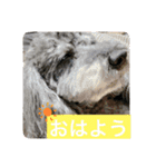 みなみのえる君（個別スタンプ：19）