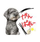 みなみのえる君（個別スタンプ：20）