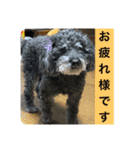 みなみのえる君（個別スタンプ：21）