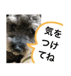 みなみのえる君（個別スタンプ：23）