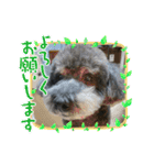みなみのえる君（個別スタンプ：24）
