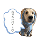 むぎぽよ。（個別スタンプ：1）