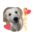 むぎぽよ。（個別スタンプ：5）