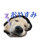 むぎぽよ。（個別スタンプ：6）
