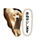 むぎぽよ。（個別スタンプ：8）