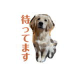 むぎぽよ。（個別スタンプ：17）