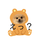 ぴのこスタンプ2（個別スタンプ：18）
