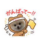 ぴのこスタンプ2（個別スタンプ：19）