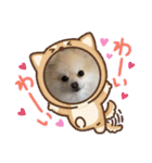 ぴのこスタンプ2（個別スタンプ：21）