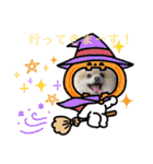 ぴのこスタンプ2（個別スタンプ：26）