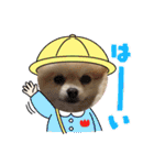 ぴのこスタンプ2（個別スタンプ：33）