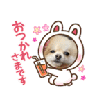 ぴのこスタンプ2（個別スタンプ：37）