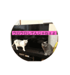 にゃんこスタンプにゃん☆（個別スタンプ：2）