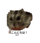 怖いと思う（個別スタンプ：11）