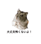 怖いと思う（個別スタンプ：13）