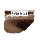 怖いと思う（個別スタンプ：24）
