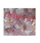 おしドラマ きかざるLOVE（個別スタンプ：9）