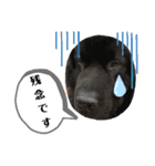 ポパイ＊りつ＊すずめ（個別スタンプ：3）