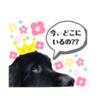 ポパイ＊りつ＊すずめ（個別スタンプ：10）