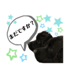 ポパイ＊りつ＊すずめ（個別スタンプ：12）