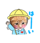 ポパイ＊りつ＊すずめ（個別スタンプ：16）