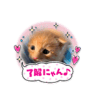 ポパイ＊りつ＊すずめ（個別スタンプ：18）